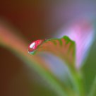 Drop of water 1